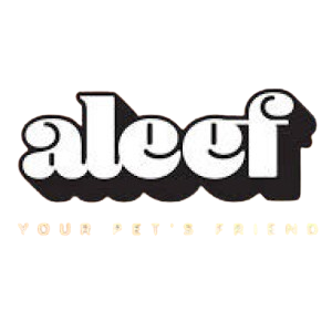 Aleef