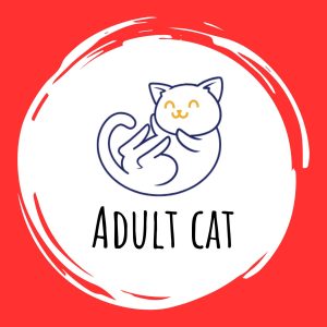 Adult Cat